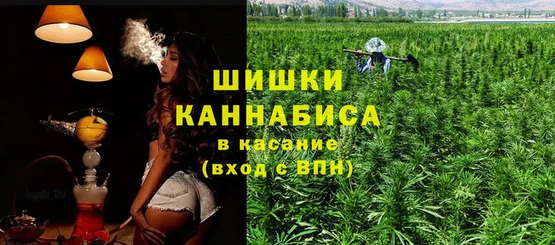 как найти   Бодайбо  Канабис White Widow 